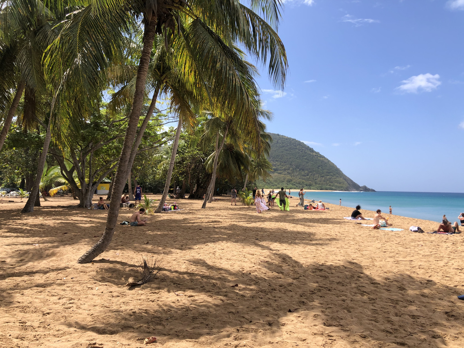 Picture Guadeloupe Grande Hanse Beach 2021-02 3 - Sight Grande Hanse Beach