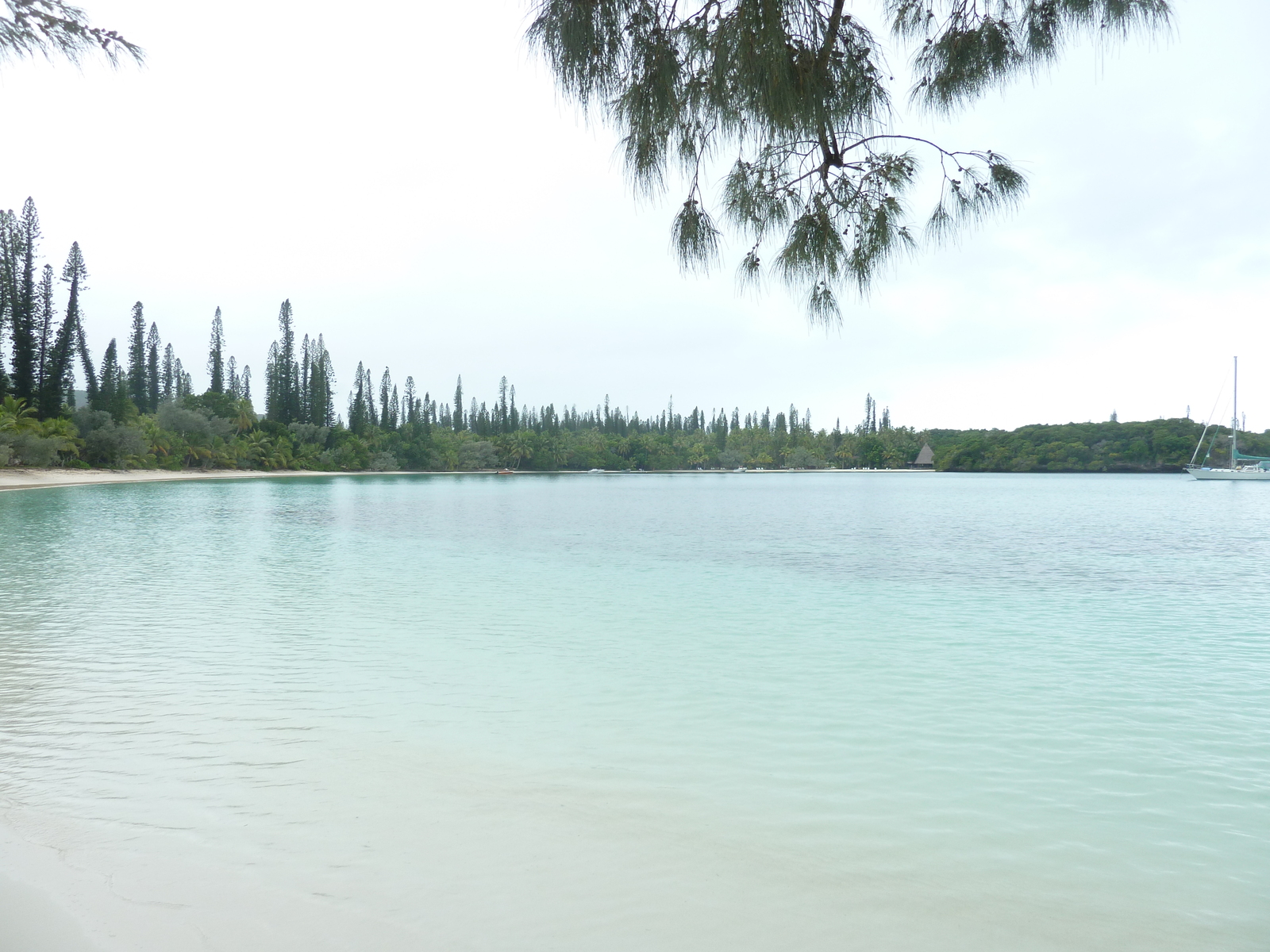 Picture New Caledonia Ile des pins Kuto Beach 2010-05 46 - Picture Kuto Beach