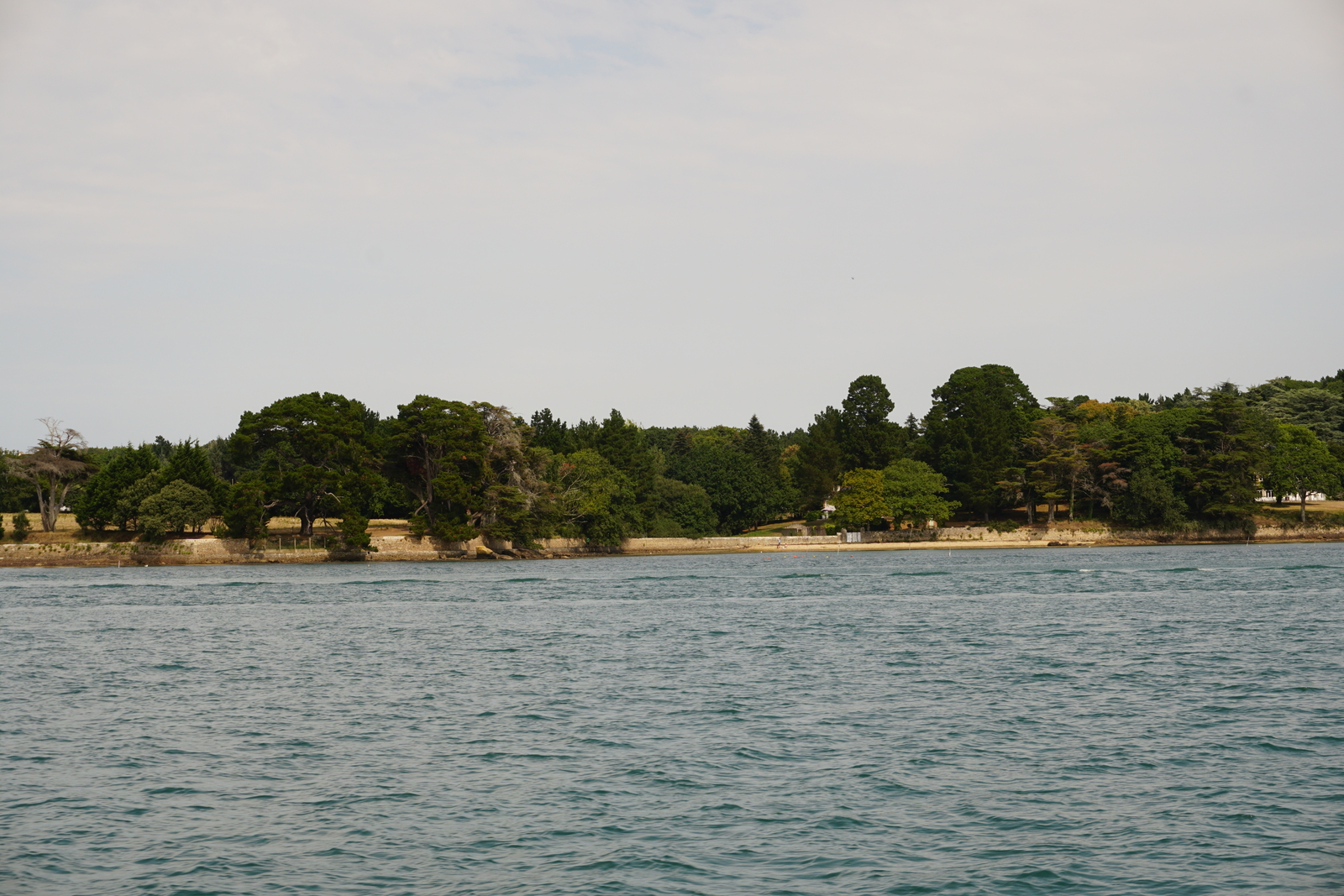 Picture France Golfe du Morbihan 2016-08 34 - Views Golfe du Morbihan