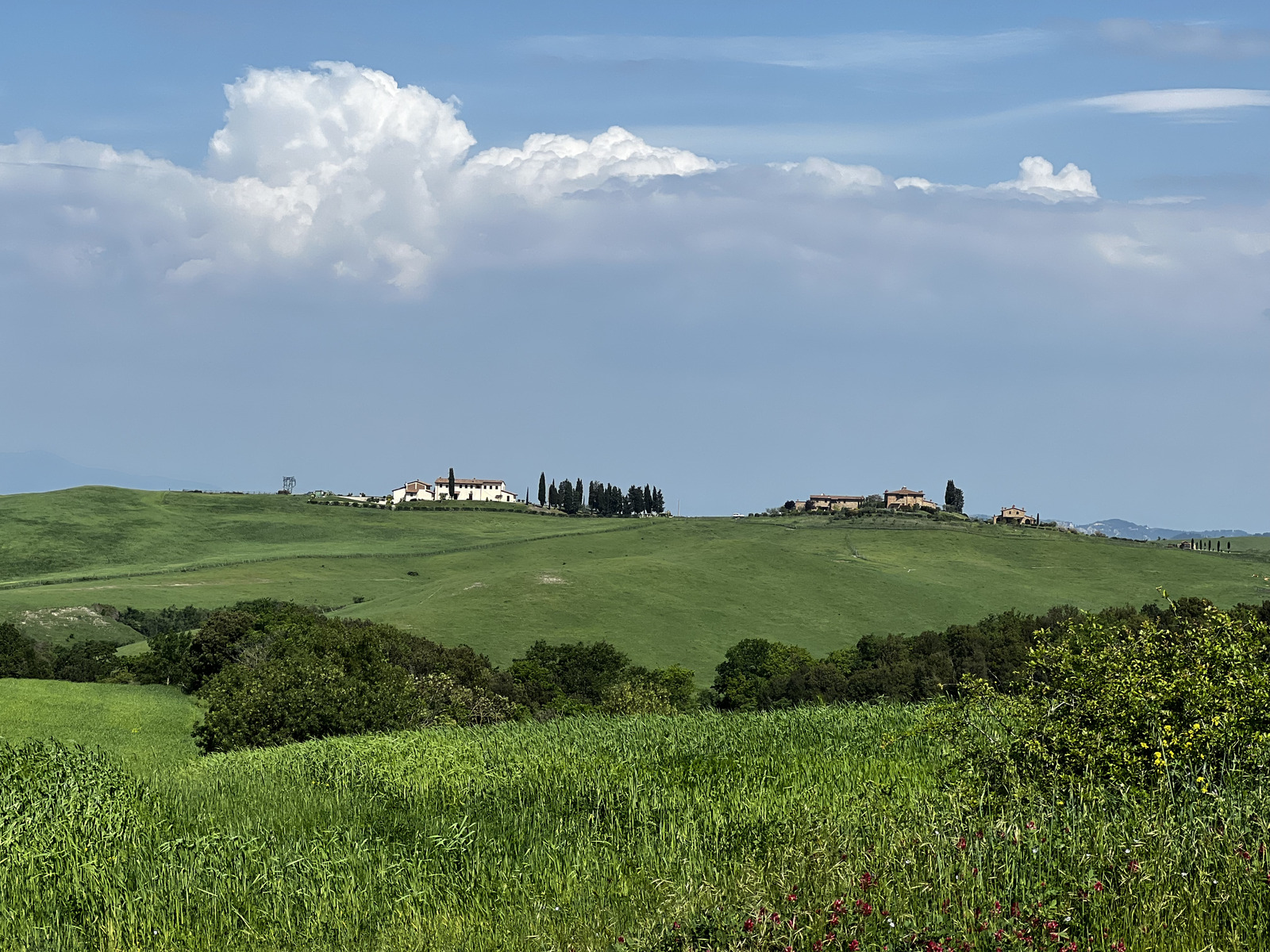 Picture Italy Volterra 2022-05 53 - Tourist Attraction Volterra