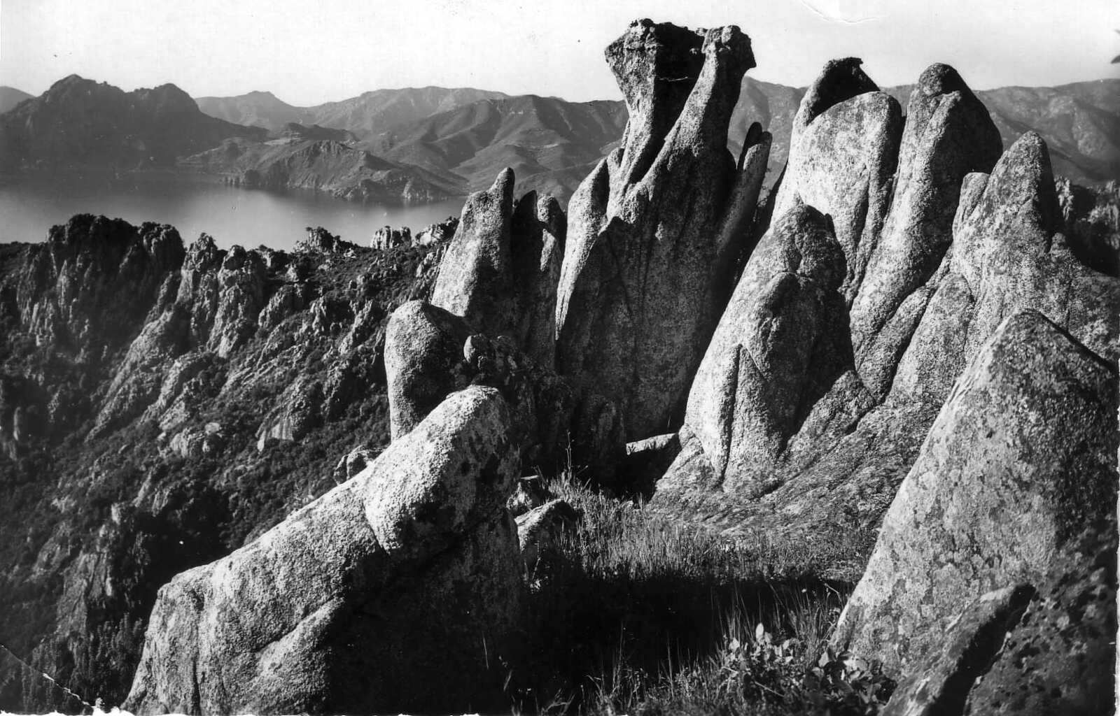 Picture France Corsica Old Postcards 1900-01 128 - Flights Old Postcards