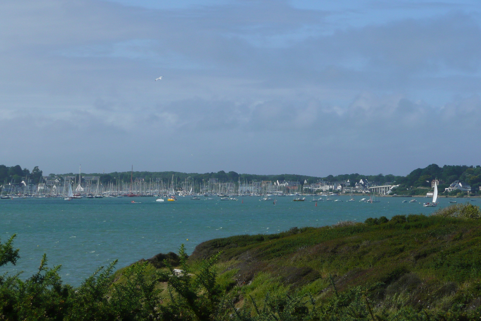 Picture France Saint Philibert 2008-07 3 - Randonee Saint Philibert