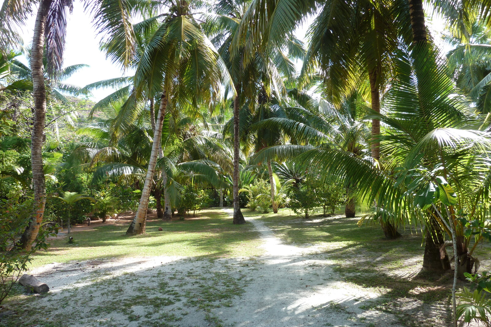 Picture Seychelles Anse Lazio 2011-10 21 - Perspective Anse Lazio