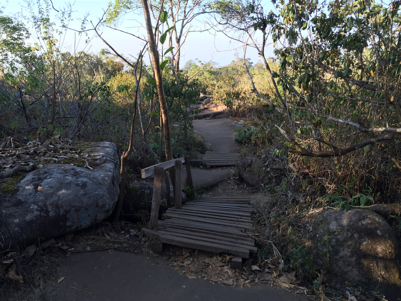 Picture Thailand Phu Hin Rong Kla National Park 2014-12 309 - Picture Phu Hin Rong Kla National Park