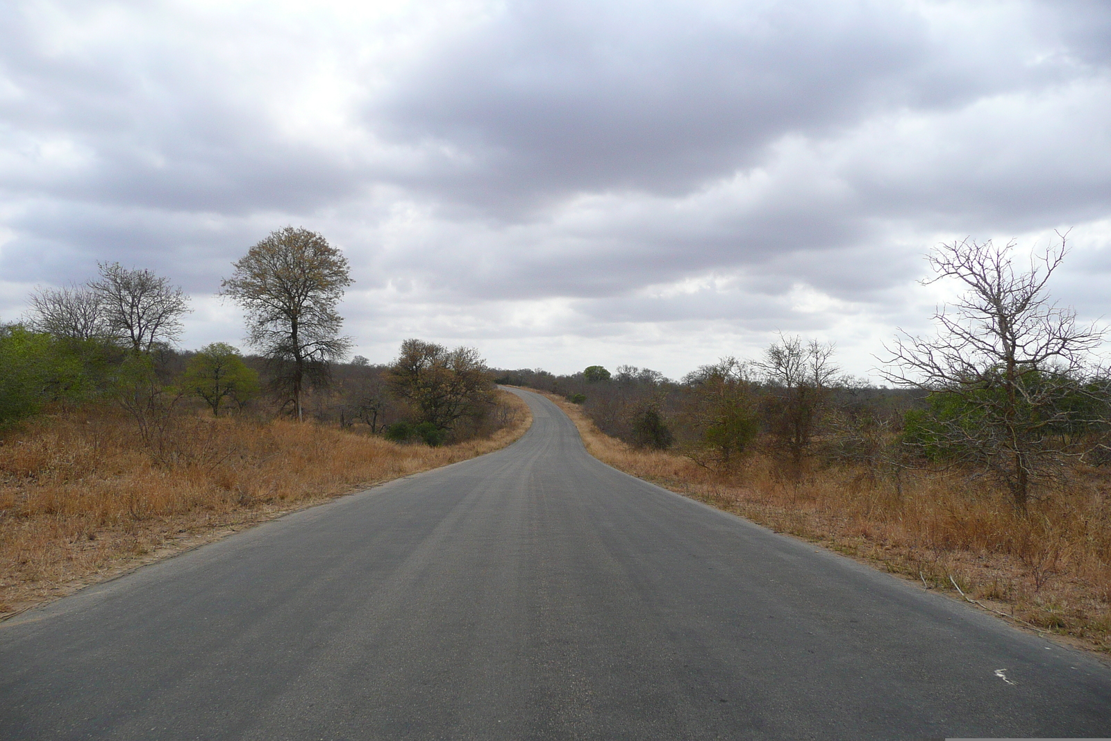 Picture South Africa Kruger National Park 2008-09 59 - Views Kruger National Park