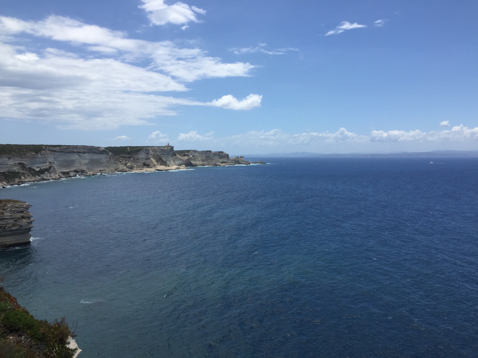 Picture France Corsica Bonifacio 2017-07 19 - Tourist Bonifacio