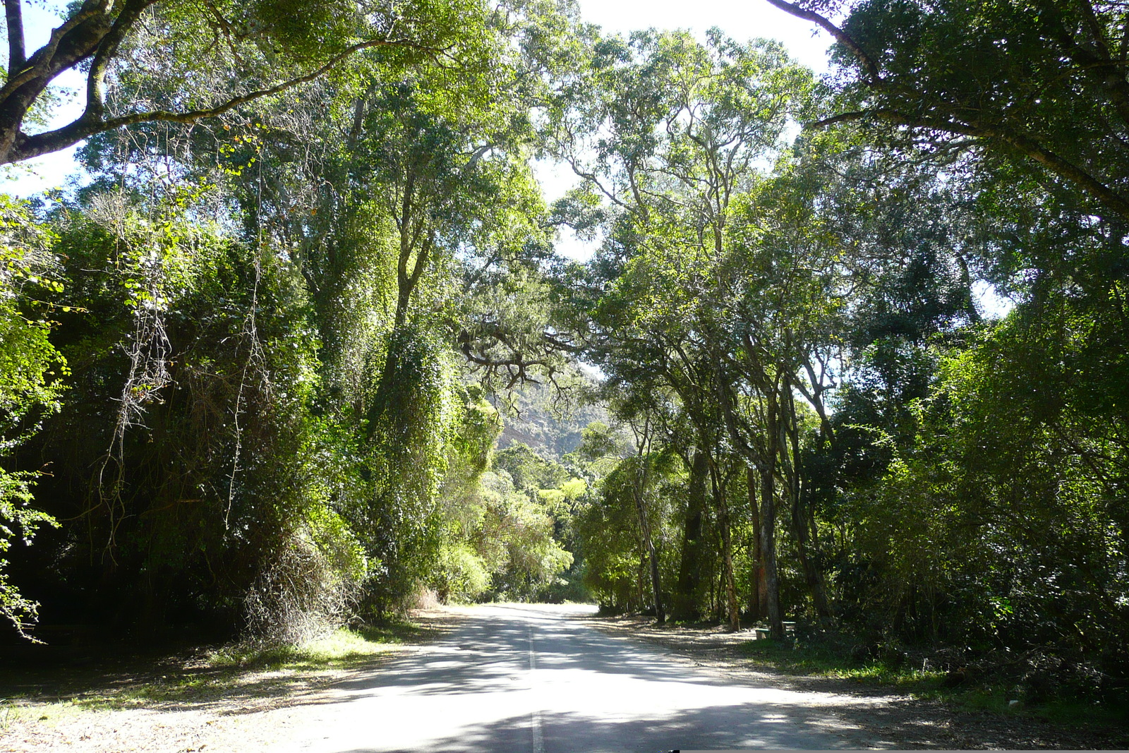 Picture South Africa Nature's Valley 2008-09 9 - Sight Nature's Valley