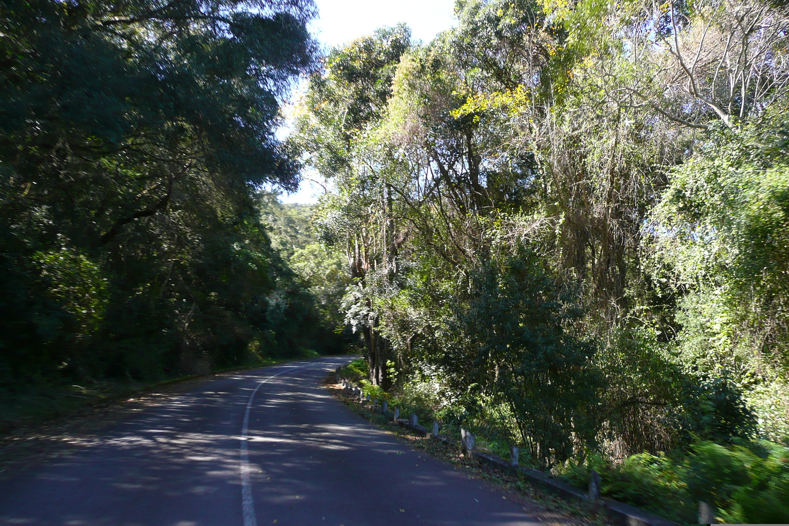 Picture South Africa Nature's Valley 2008-09 34 - Sightseeing Nature's Valley