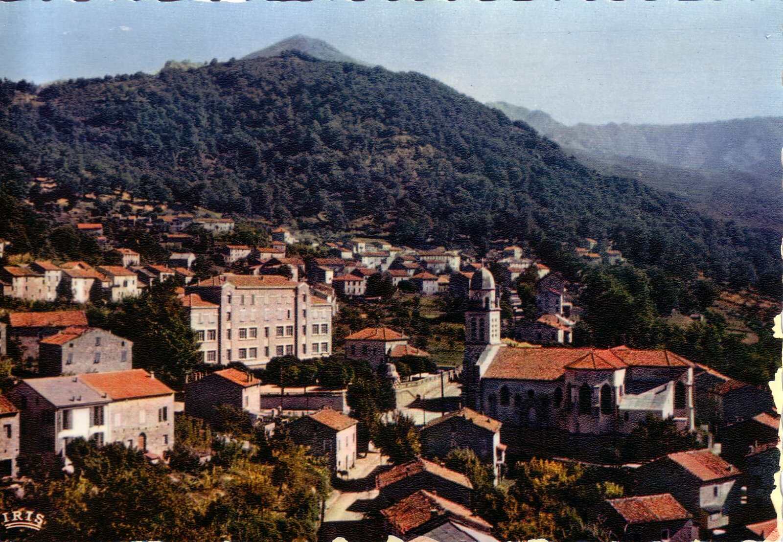 Picture France Corsica Old Postcards 1900-01 90 - Trip Old Postcards