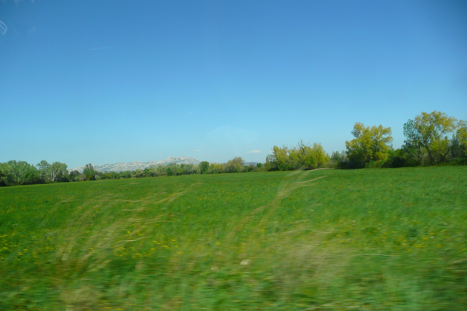 Picture France Provence Aix to Mouries road 2008-04 20 - Car Rental Aix to Mouries road