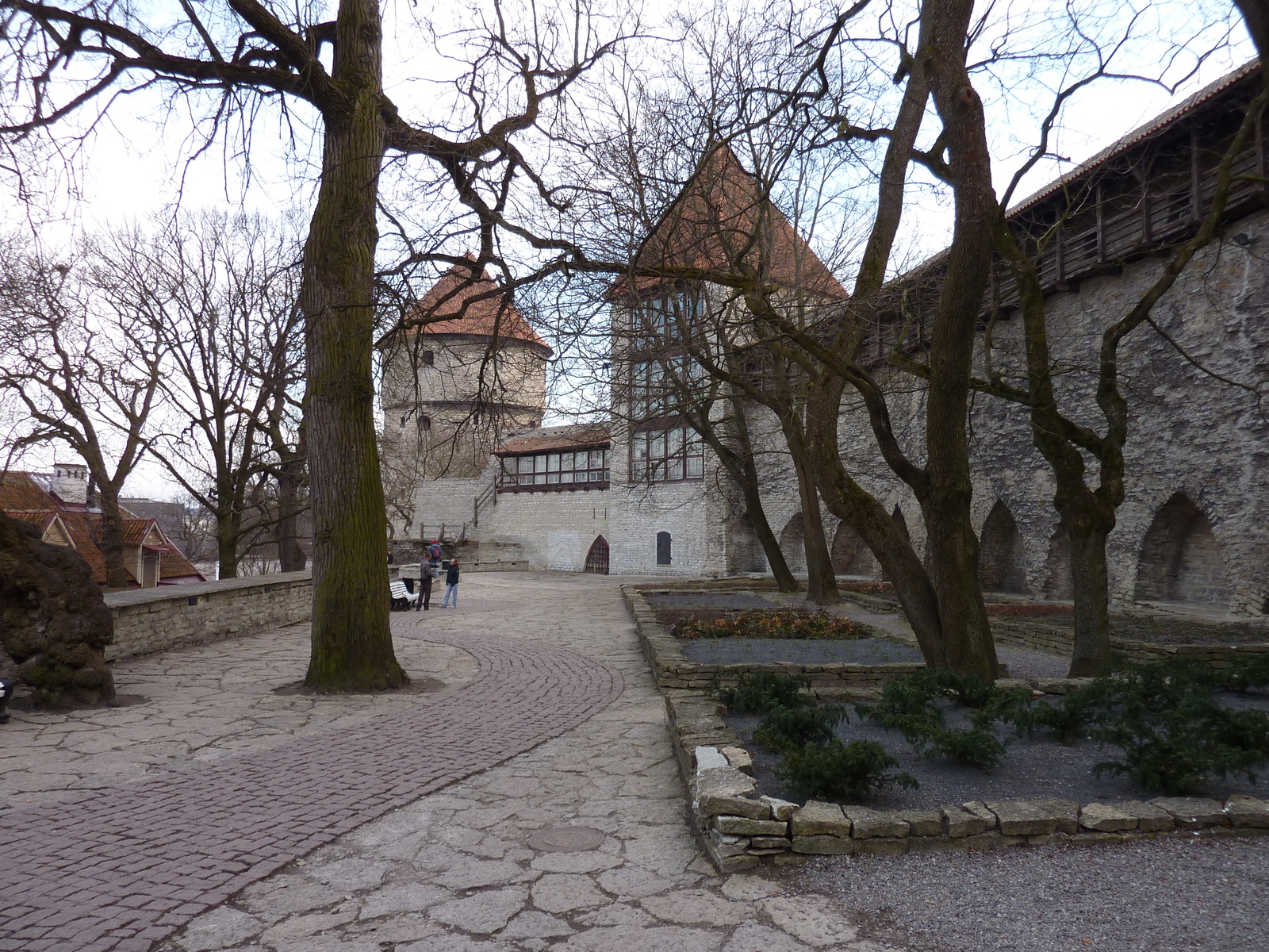 Picture Estonia Tallinn Old Tallinn 2009-04 2 - Store Old Tallinn