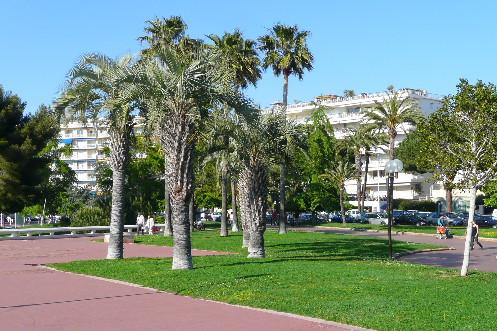 Picture France Cannes Port Pierre Canto 2008-05 27 - Pictures Port Pierre Canto