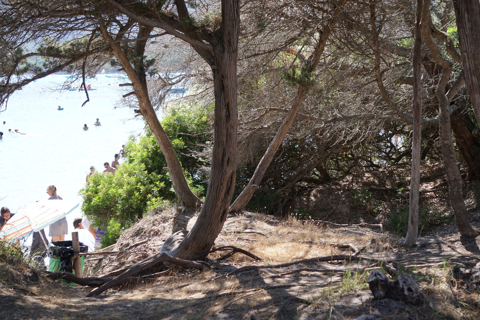 Picture France Corsica Santa Giulia Beach 2017-07 40 - Flight Santa Giulia Beach