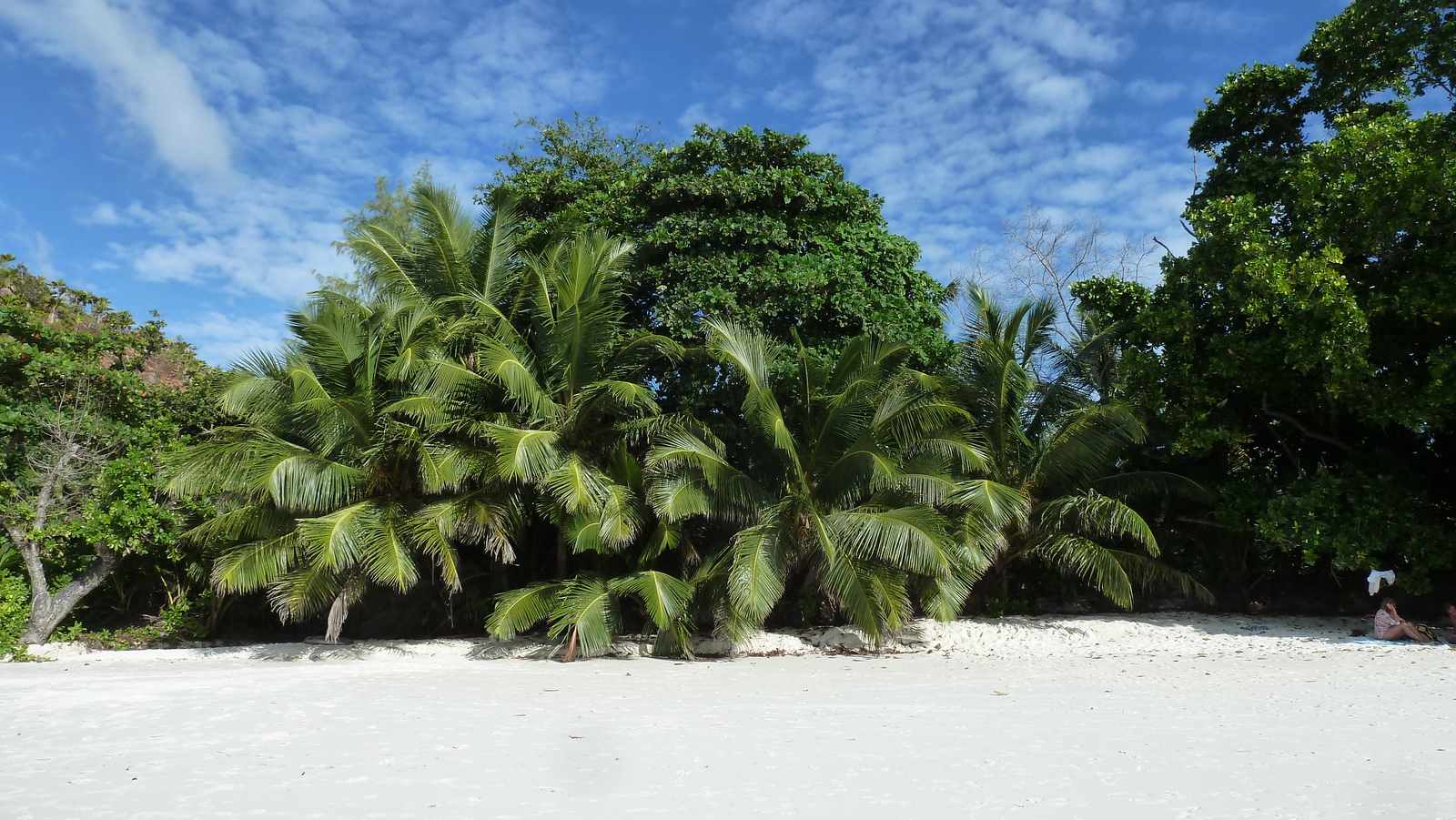 Picture Seychelles Anse Lazio 2011-10 172 - Views Anse Lazio