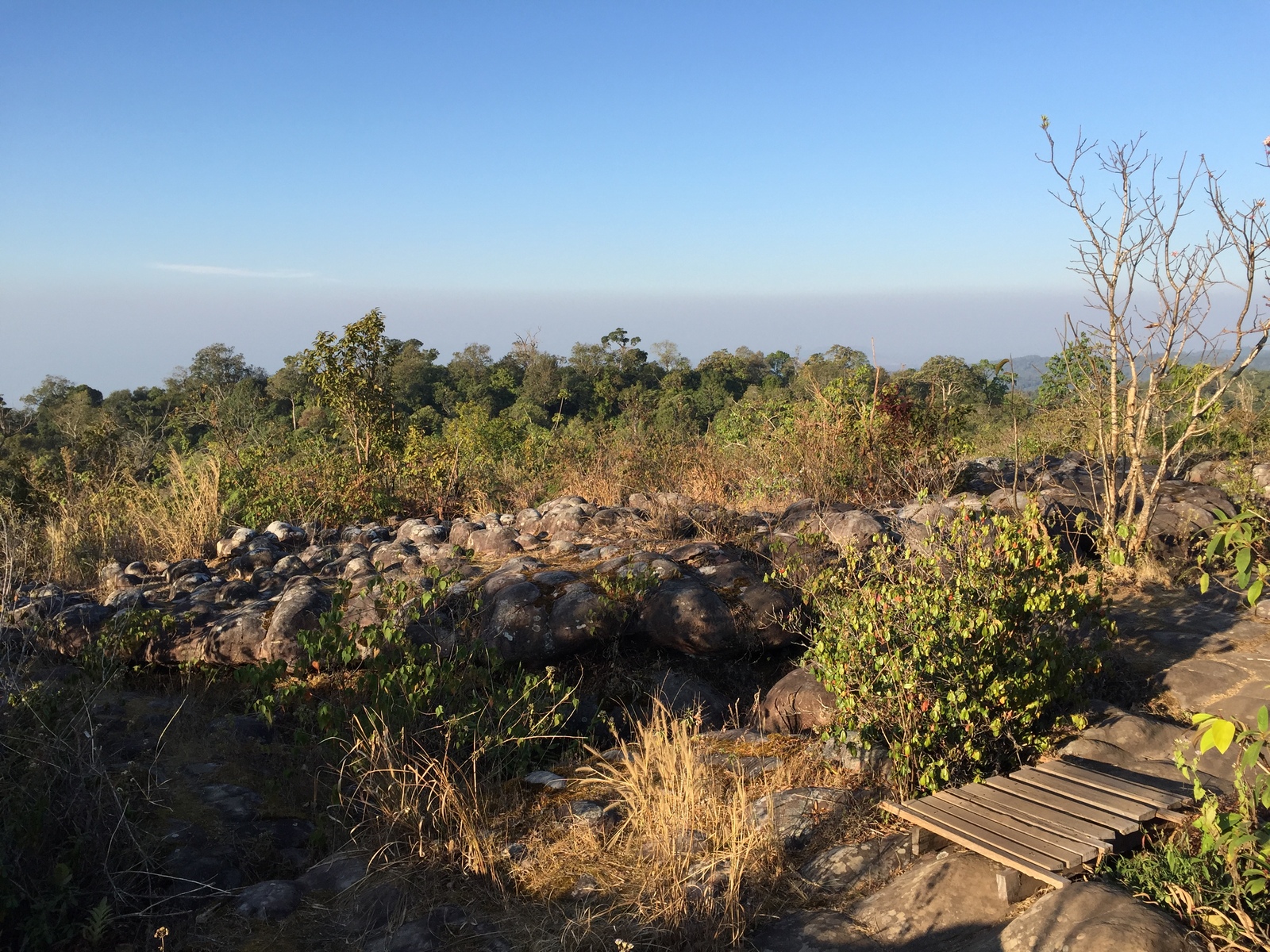 Picture Thailand Phu Hin Rong Kla National Park 2014-12 10 - Trips Phu Hin Rong Kla National Park