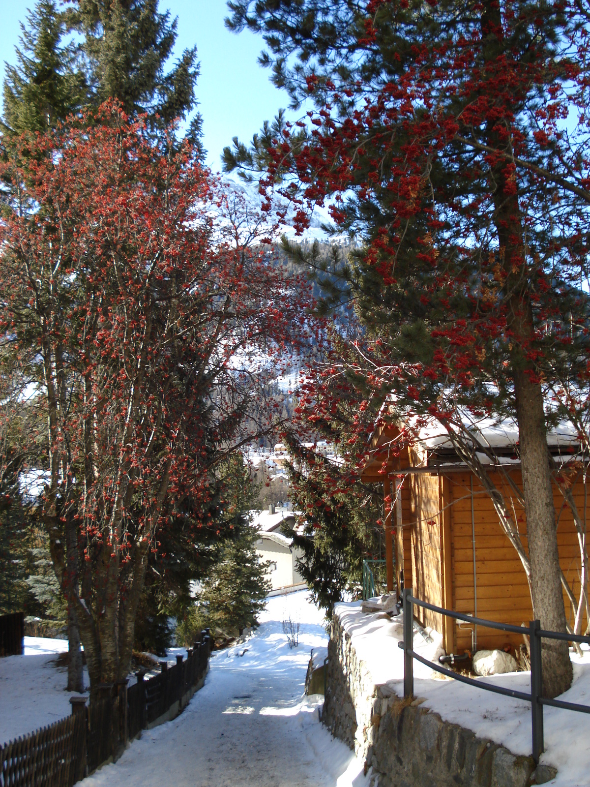 Picture Swiss Pontresina 2007-01 134 - Photographer Pontresina