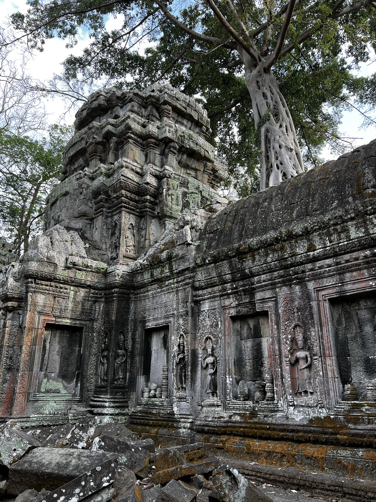 Picture Cambodia Siem Reap Ta Prohm 2023-01 153 - Trail Ta Prohm