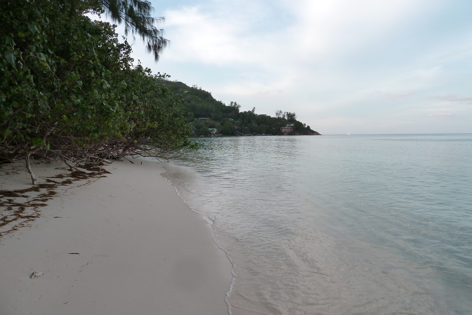 Picture Seychelles Praslin 2011-10 221 - Photographers Praslin