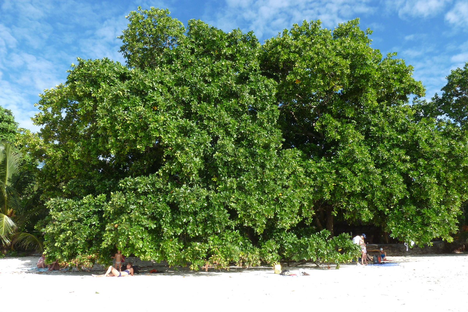 Picture Seychelles Anse Lazio 2011-10 123 - Photographer Anse Lazio