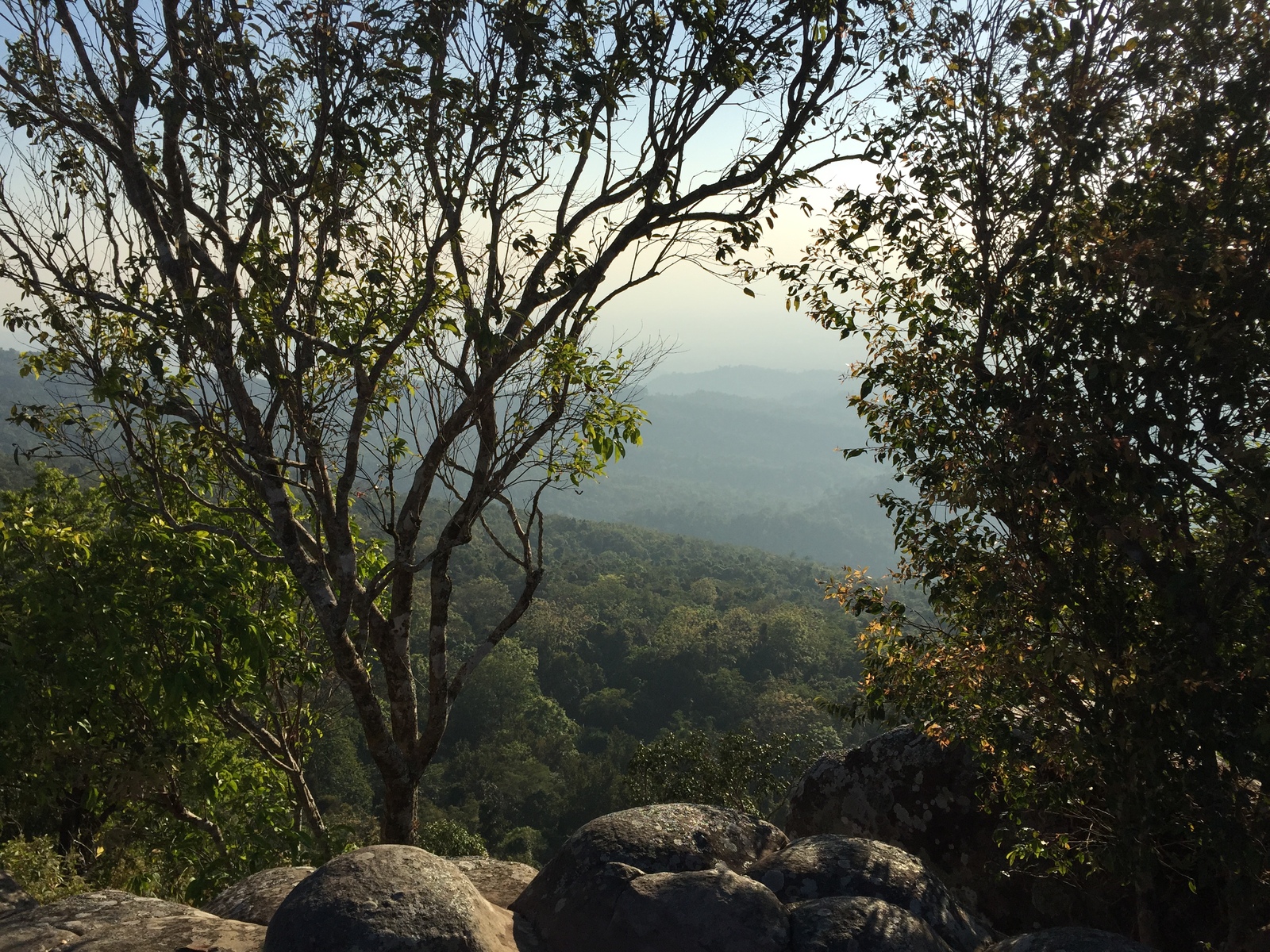 Picture Thailand Phu Hin Rong Kla National Park 2014-12 356 - Car Phu Hin Rong Kla National Park