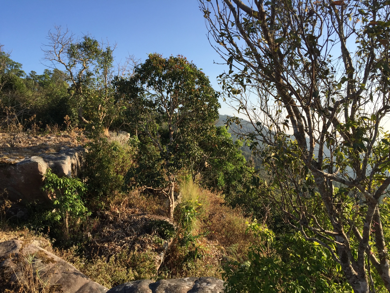 Picture Thailand Phu Hin Rong Kla National Park 2014-12 317 - Sightseeing Phu Hin Rong Kla National Park