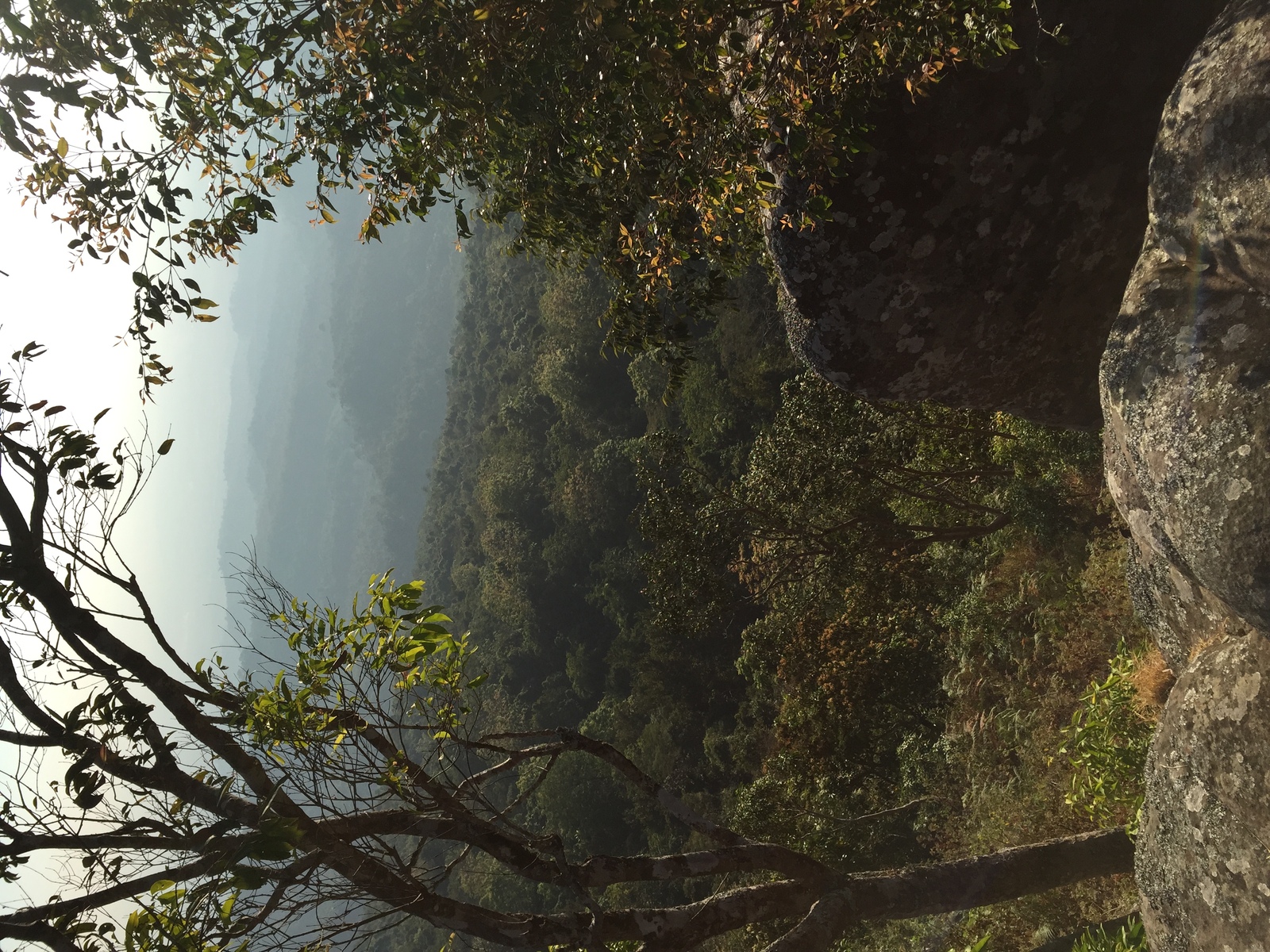 Picture Thailand Phu Hin Rong Kla National Park 2014-12 308 - Trail Phu Hin Rong Kla National Park