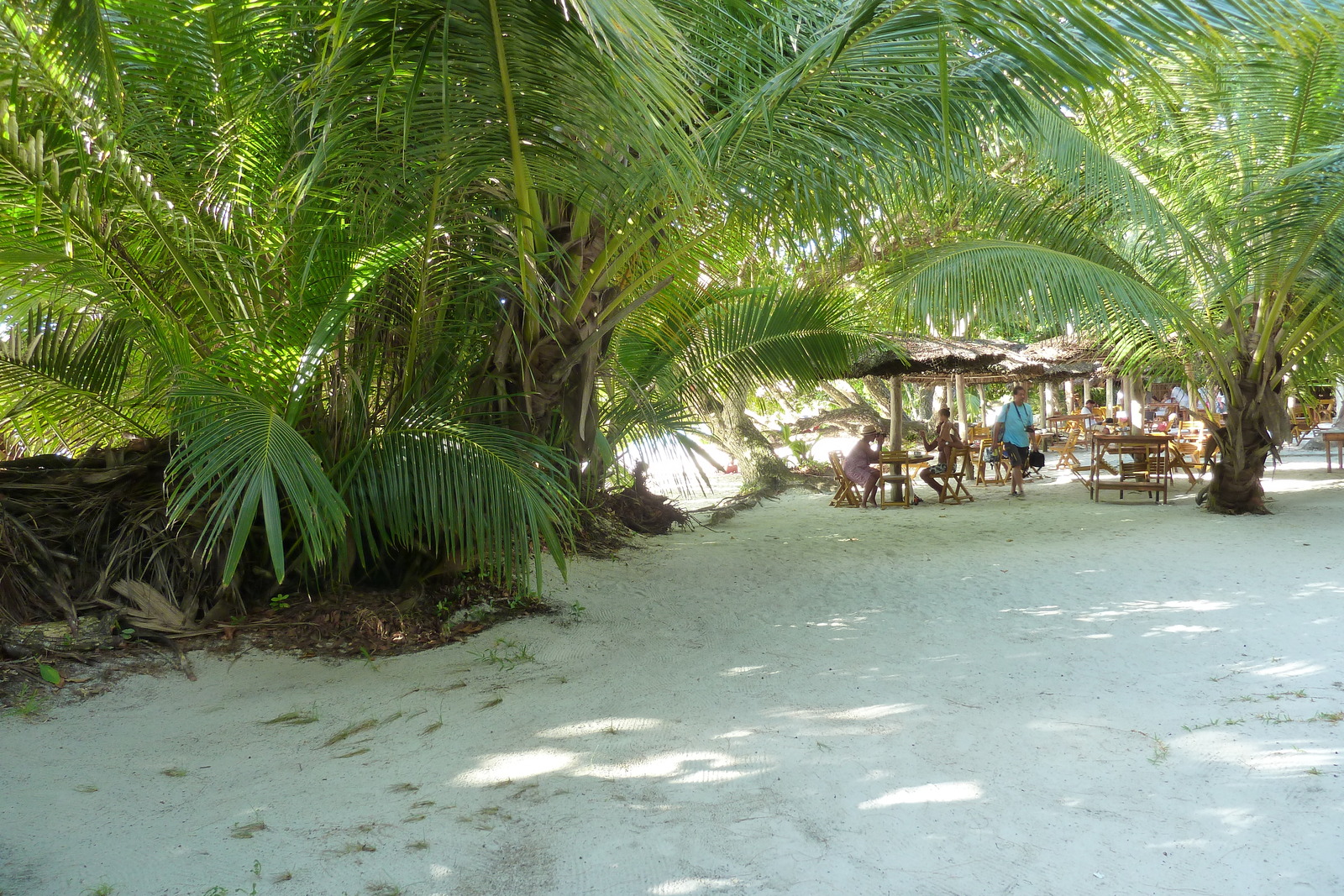 Picture Seychelles Anse Lazio 2011-10 86 - Trail Anse Lazio