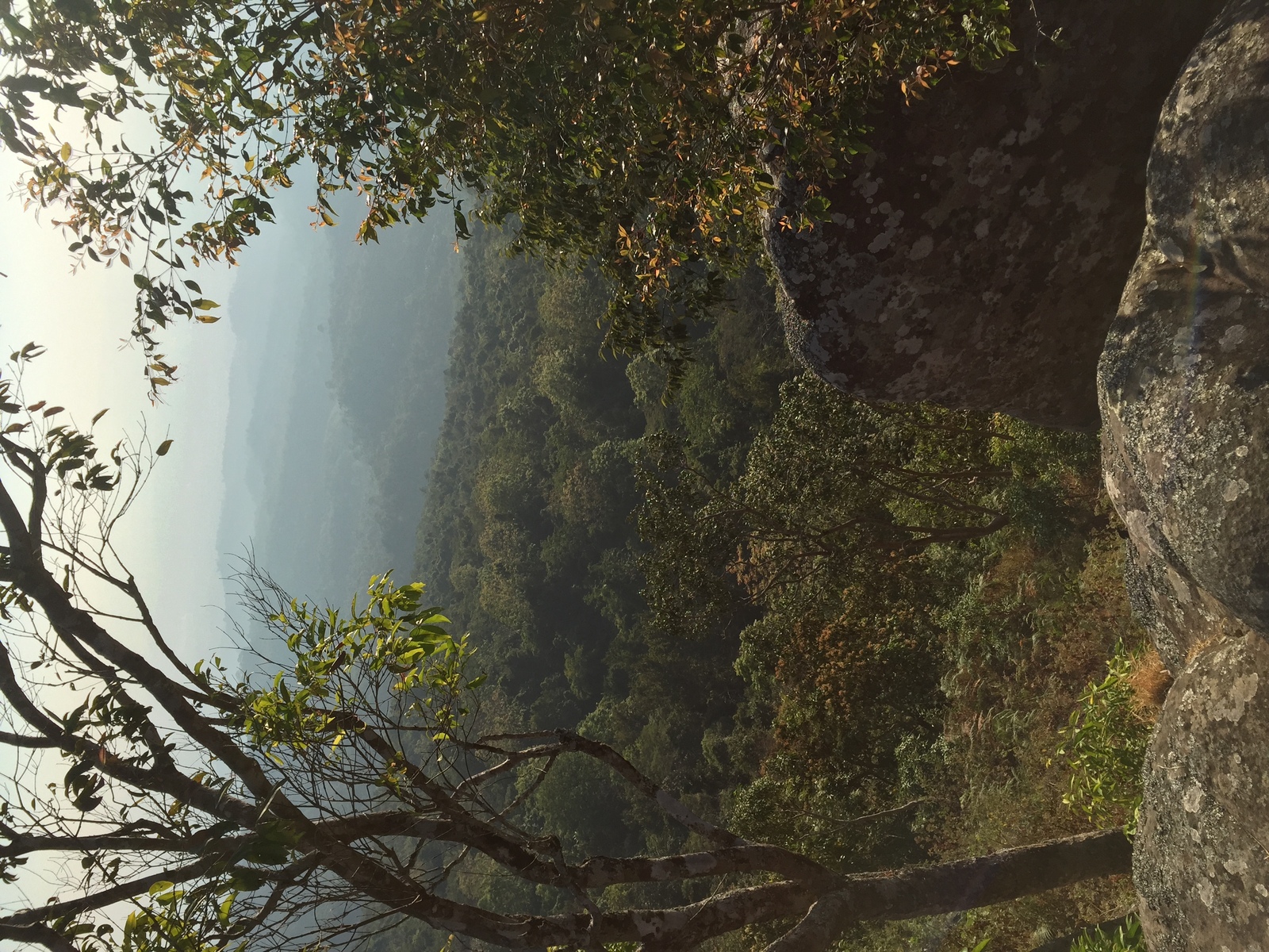 Picture Thailand Phu Hin Rong Kla National Park 2014-12 390 - Perspective Phu Hin Rong Kla National Park