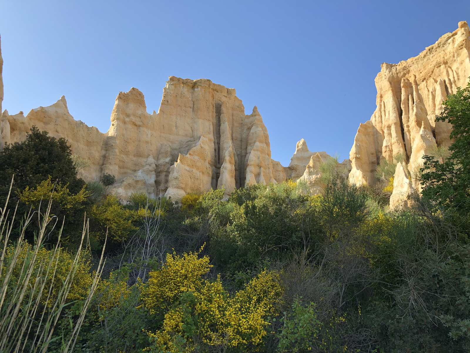 Picture France Orgues d'Ille Sur Tet 2018-04 62 - Photos Orgues d'Ille Sur Tet