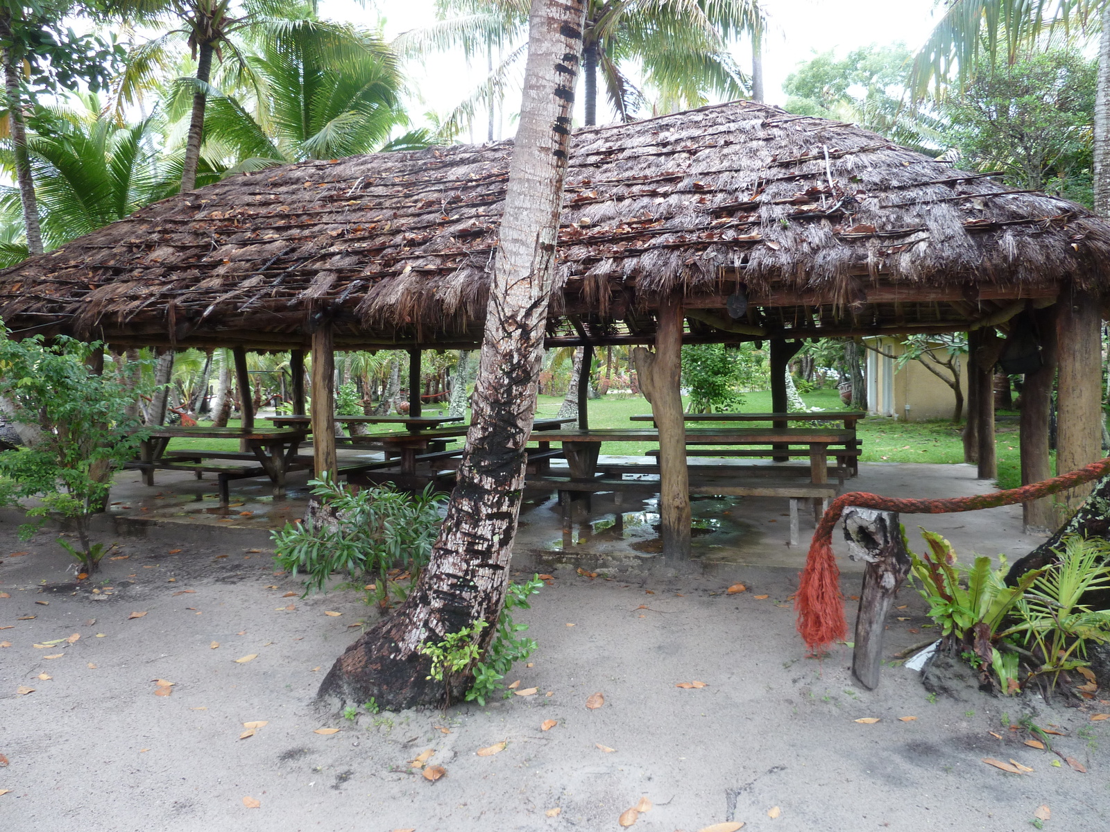 Picture New Caledonia Ile des pins 2010-05 4 - Discover Ile des pins