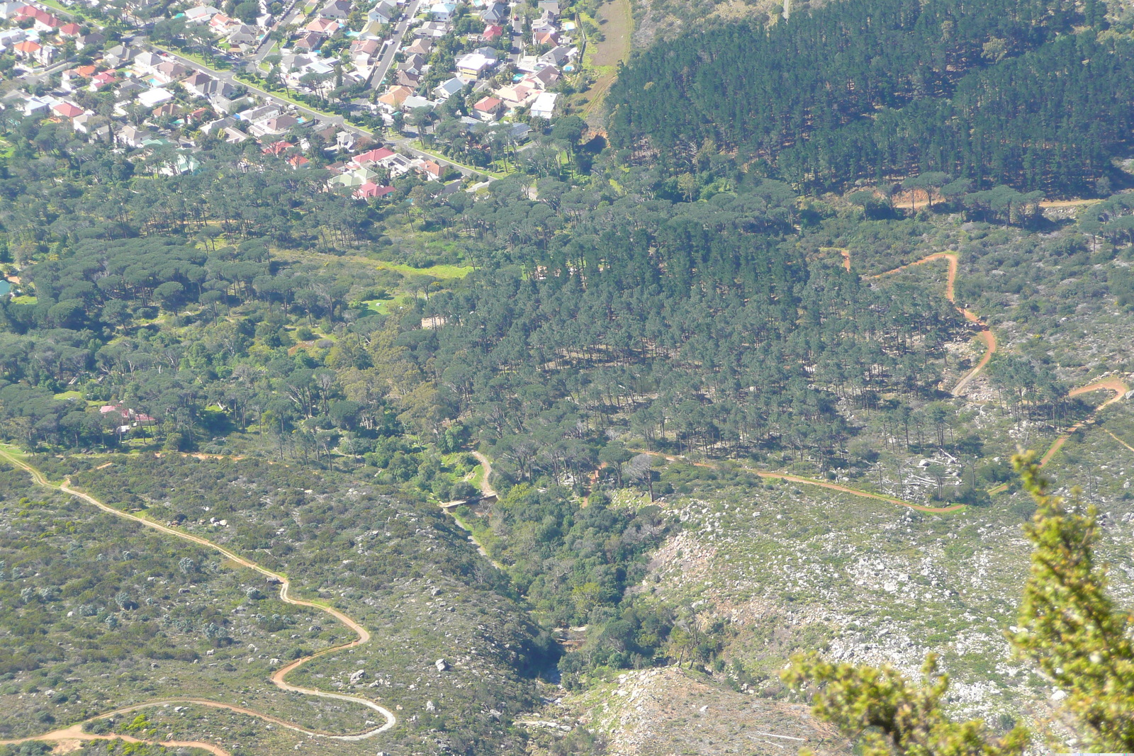 Picture South Africa Cape Town Table Mountain 2008-09 51 - Trips Table Mountain