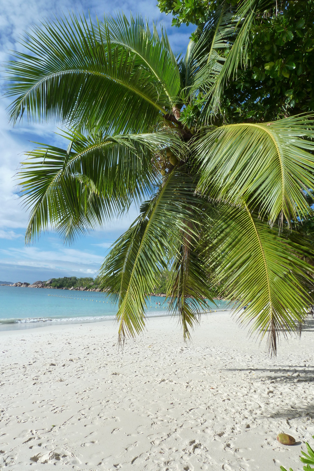 Picture Seychelles Anse Lazio 2011-10 130 - View Anse Lazio