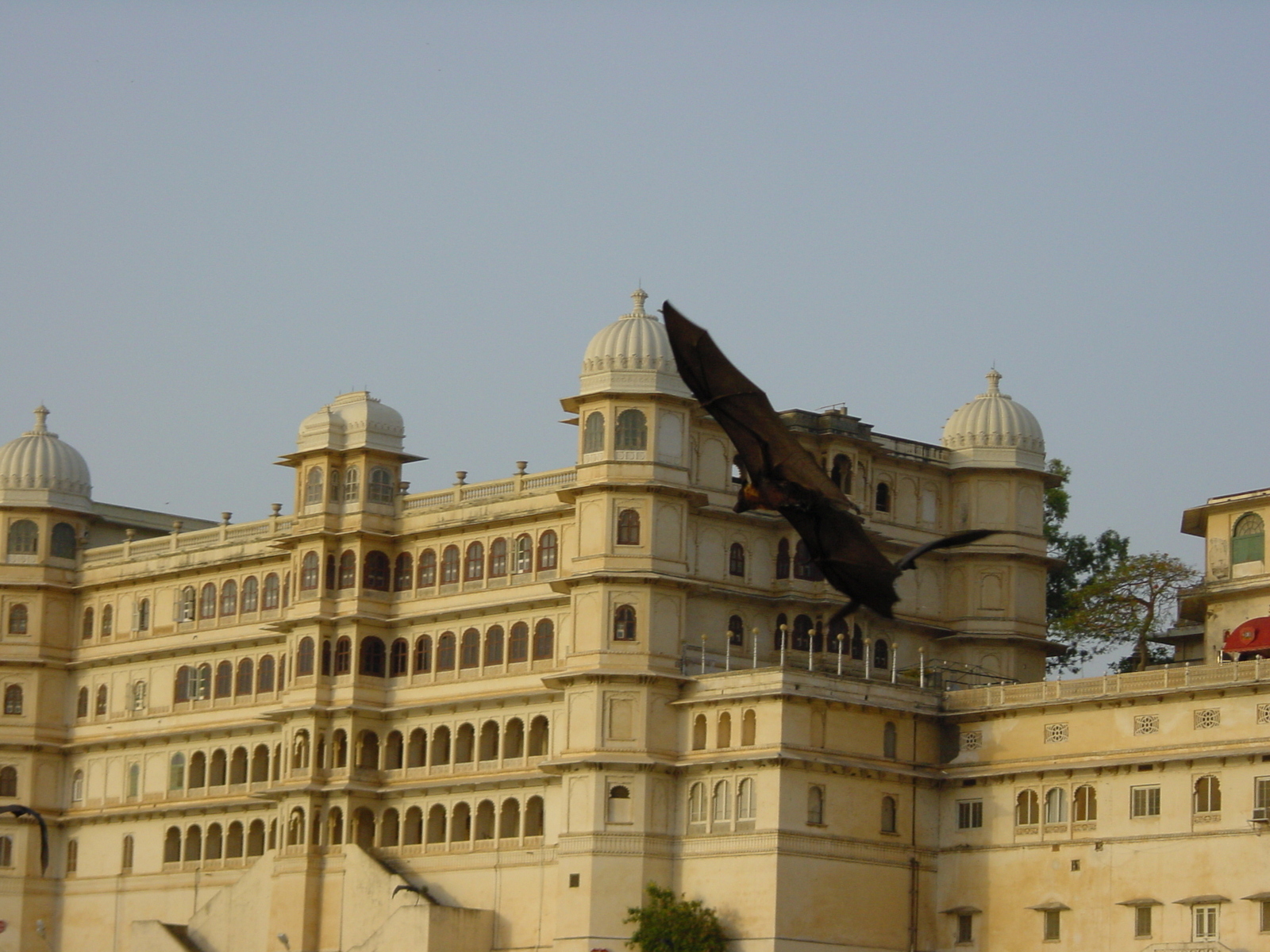 Picture India Udaipur 2003-05 19 - Tourist Attraction Udaipur