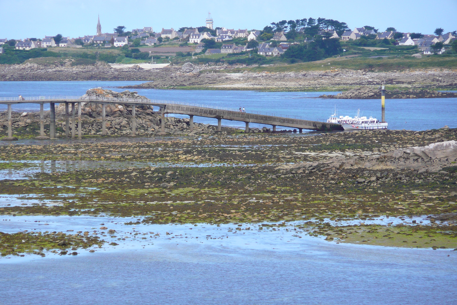 Picture France Roscoff 2007-08 57 - Sight Roscoff