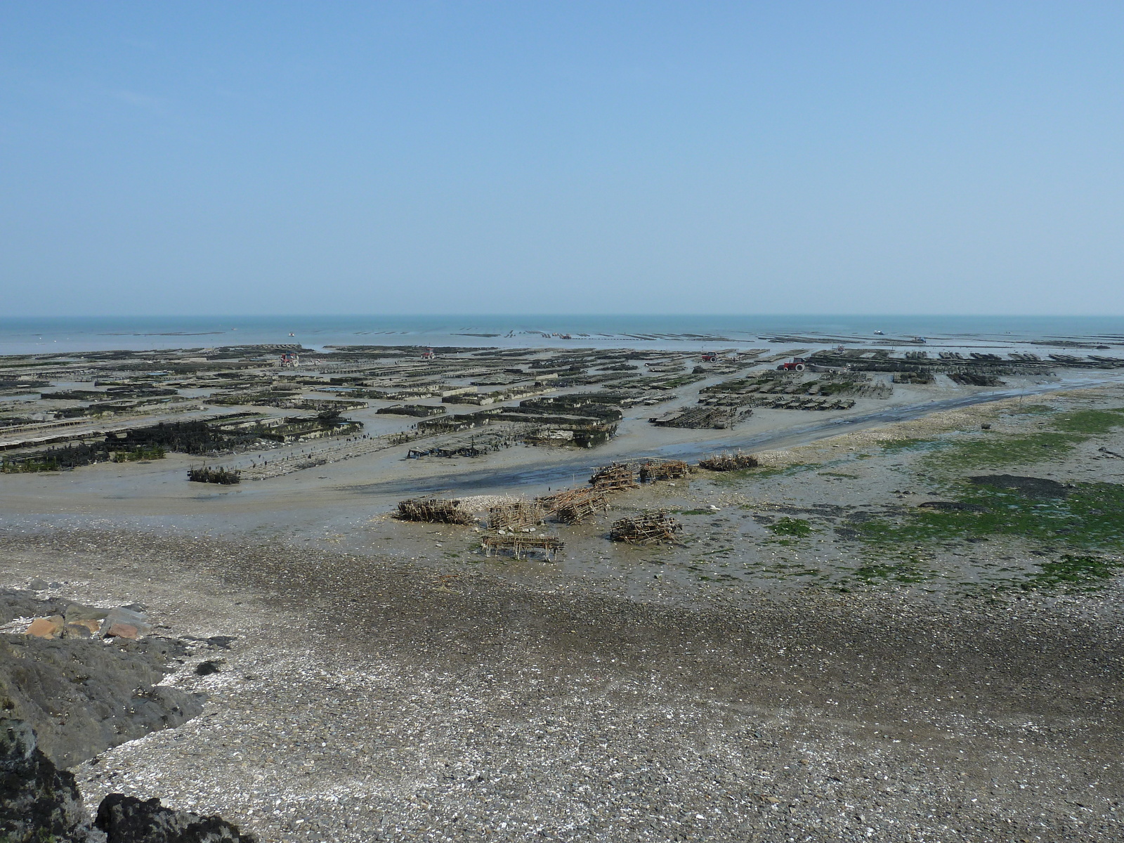 Picture France Cancale 2010-04 126 - Discover Cancale