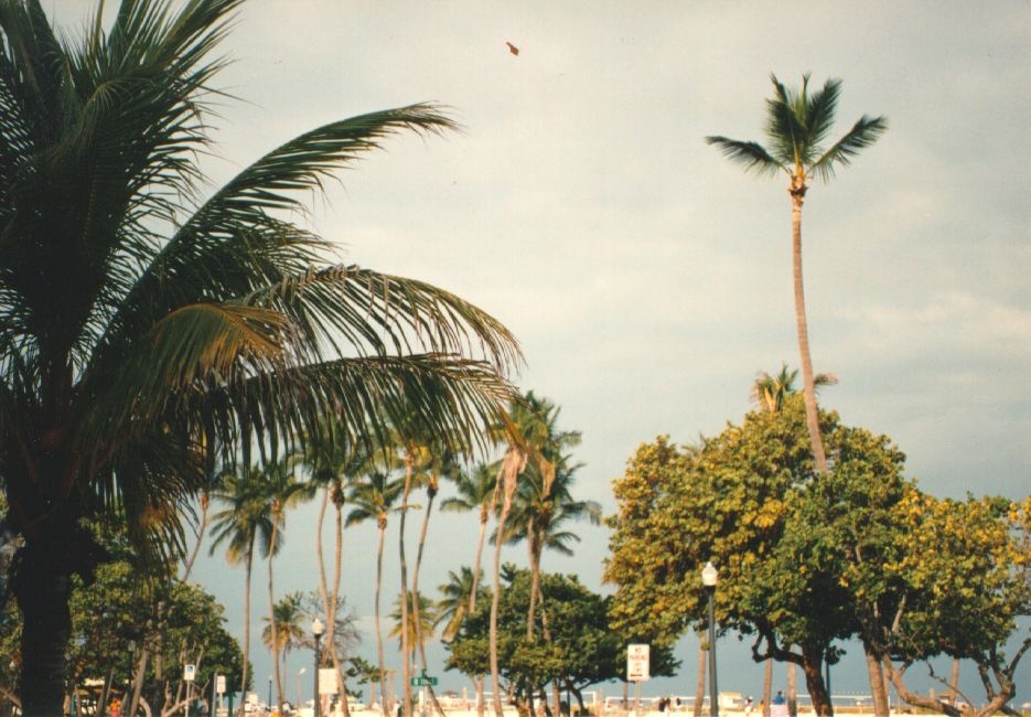 Picture United States Miami Beach 1991-11 31 - Sightseeing Miami Beach