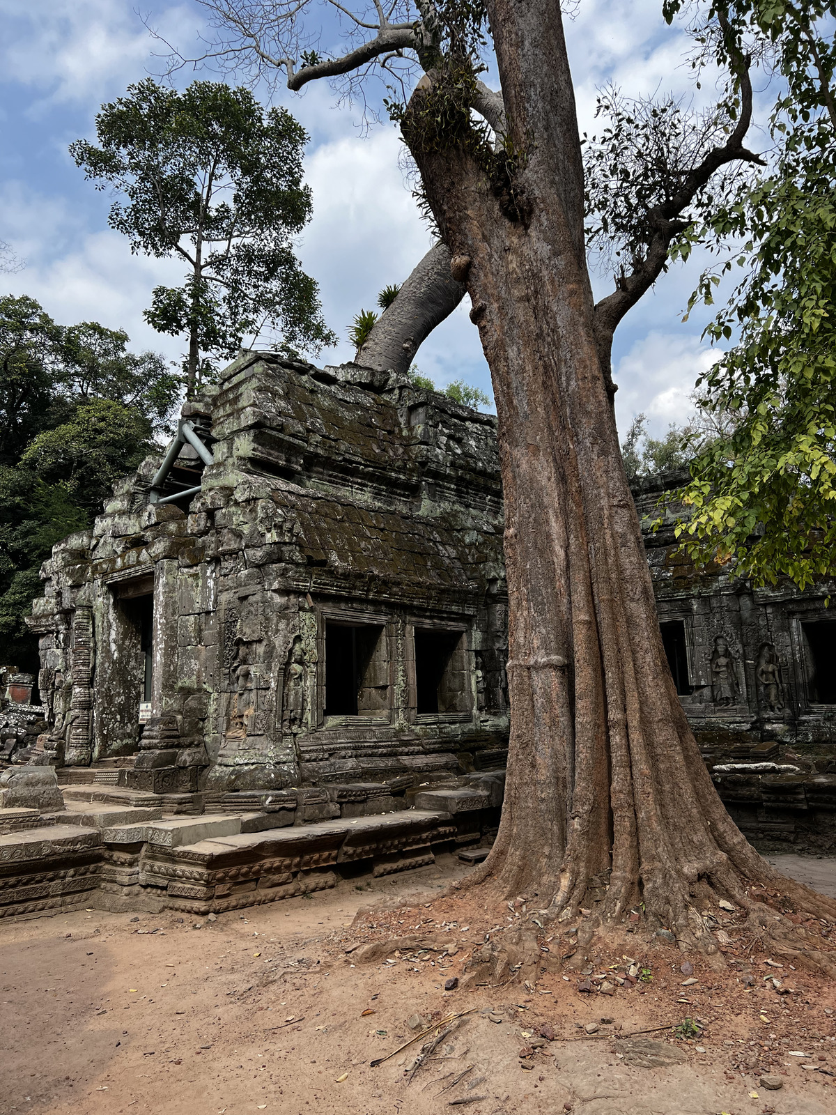 Picture Cambodia Siem Reap Ta Prohm 2023-01 134 - Photos Ta Prohm