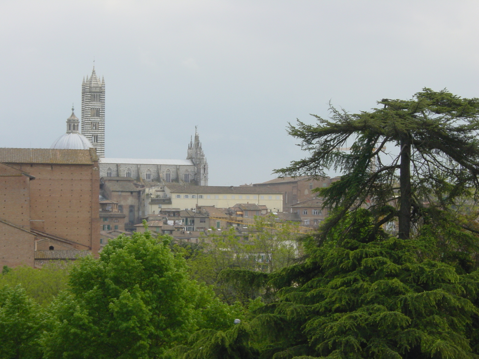 Picture Italy Siena 2002-04 33 - Trip Siena