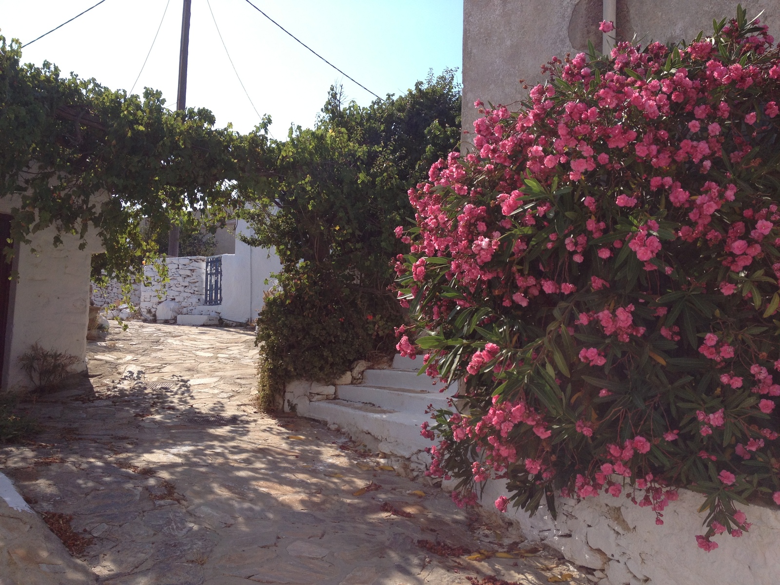 Picture Greece Amorgos 2014-07 344 - Perspective Amorgos