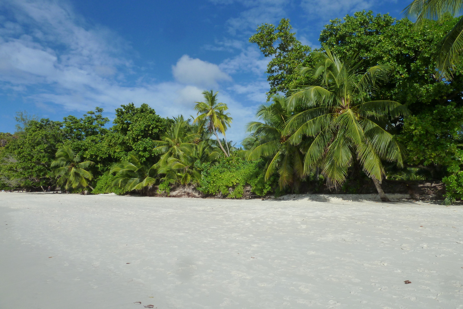 Picture Seychelles Anse Lazio 2011-10 55 - Photographer Anse Lazio