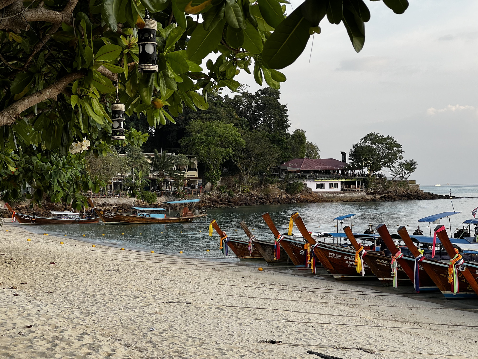 Picture Thailand Ko Phi Phi Don 2021-12 114 - Photographer Ko Phi Phi Don