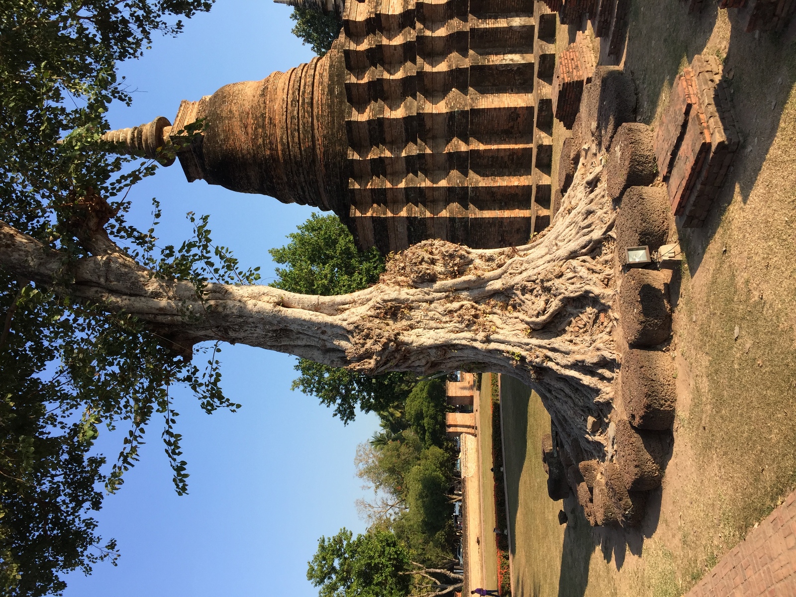 Picture Thailand Sukhothai 2014-12 37 - Sightseeing Sukhothai