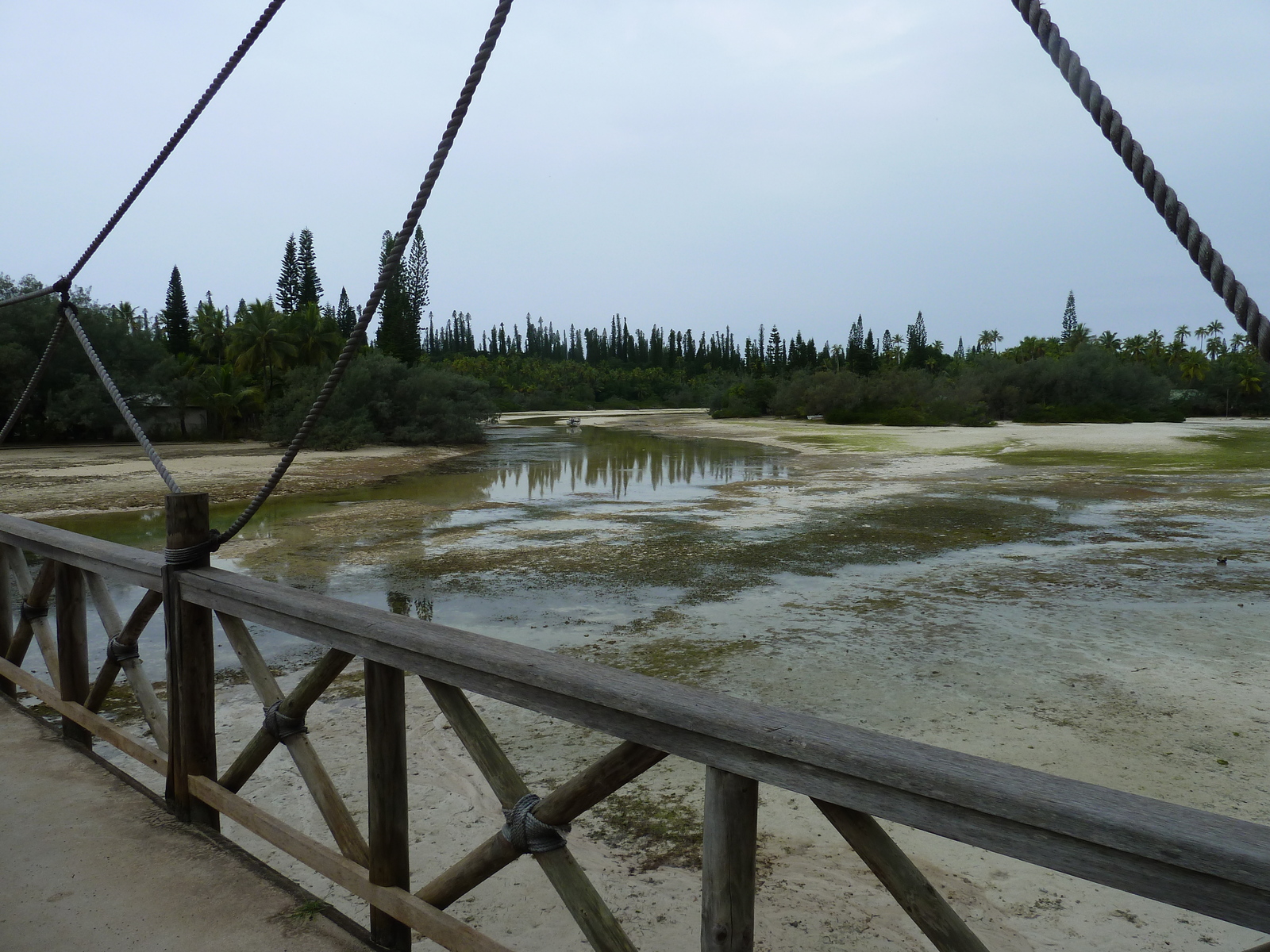 Picture New Caledonia Ile des pins Oro Bay 2010-05 84 - Journey Oro Bay