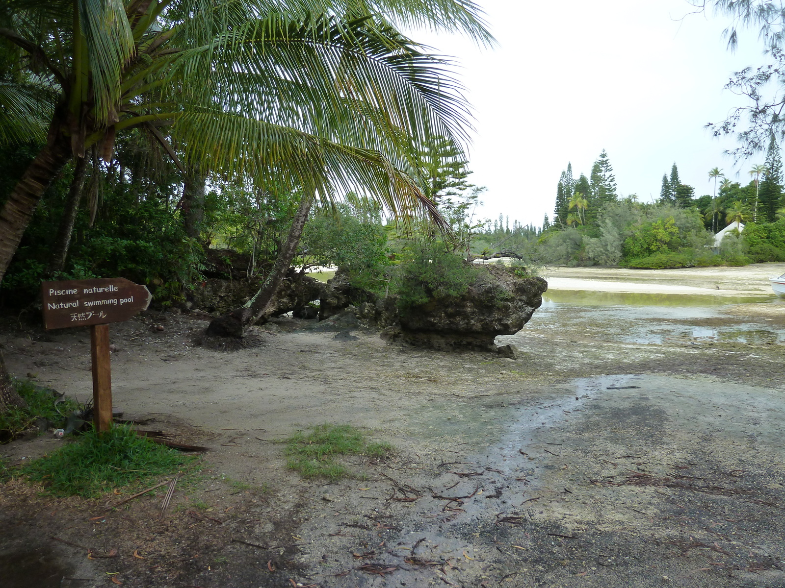 Picture New Caledonia Ile des pins Oro Bay 2010-05 103 - Store Oro Bay