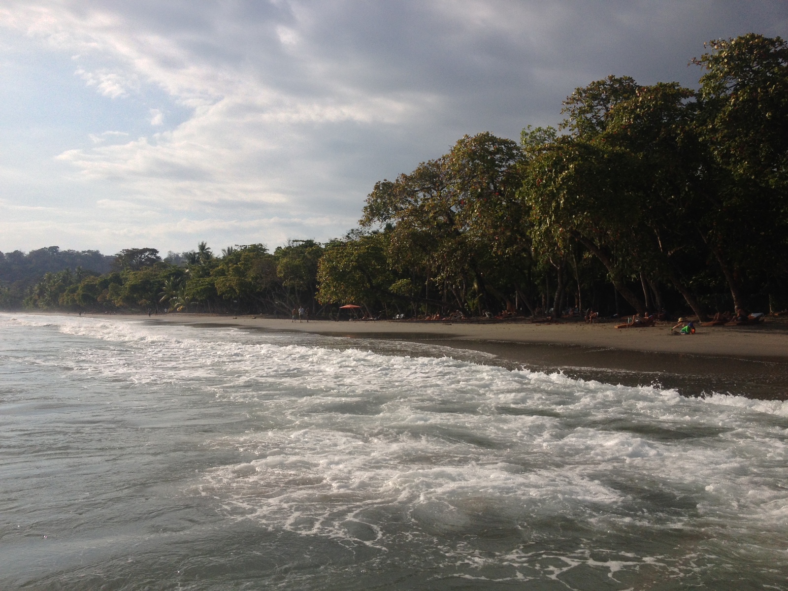 Picture Costa Rica Manuel Antonio 2015-03 131 - Photographers Manuel Antonio