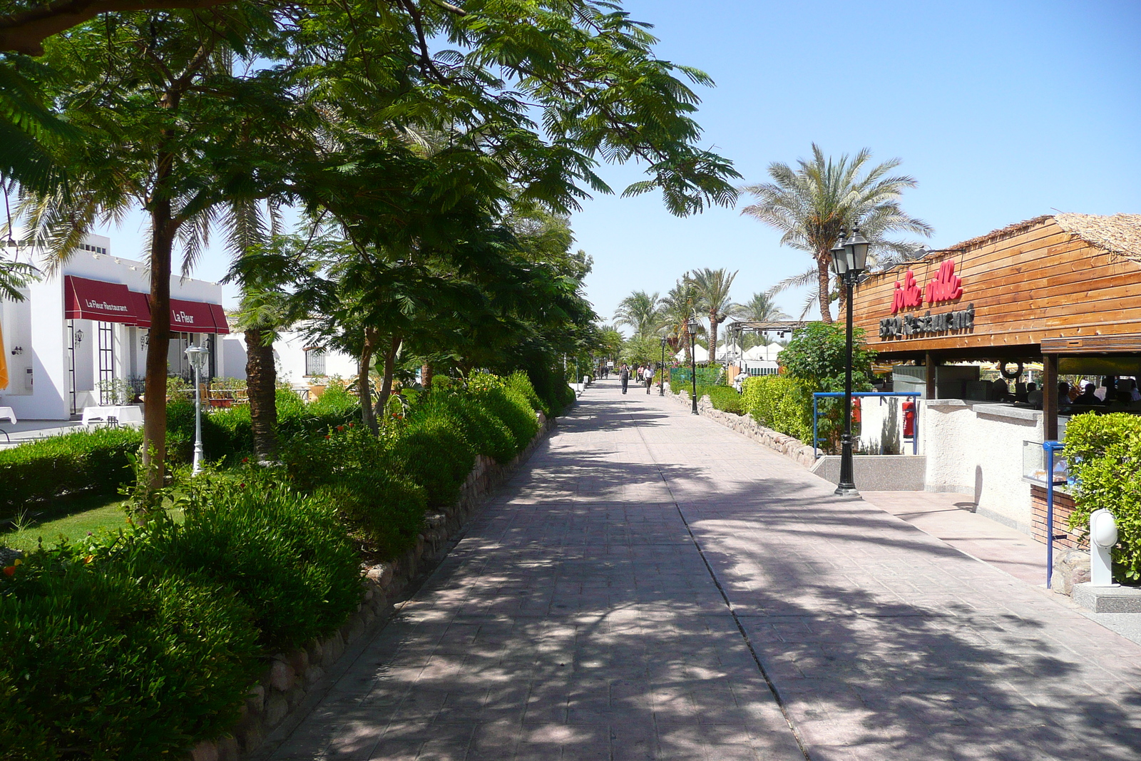 Picture Egypt Sharm el Sheikh 2008-06 2 - View Sharm el Sheikh