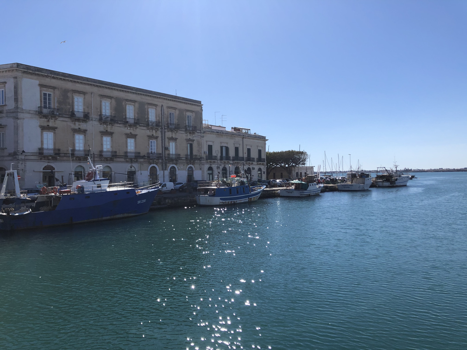 Picture Italy Sicily Ortigia 2020-02 118 - Tourist Attraction Ortigia