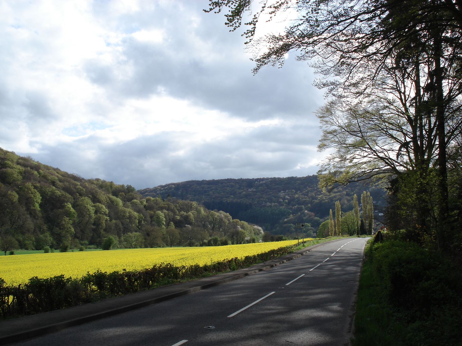 Picture United Kingdom Wye Valey 2006-05 42 - Pictures Wye Valey