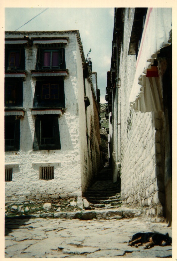 Picture Tibet 1994-07 1 - Randonee Tibet