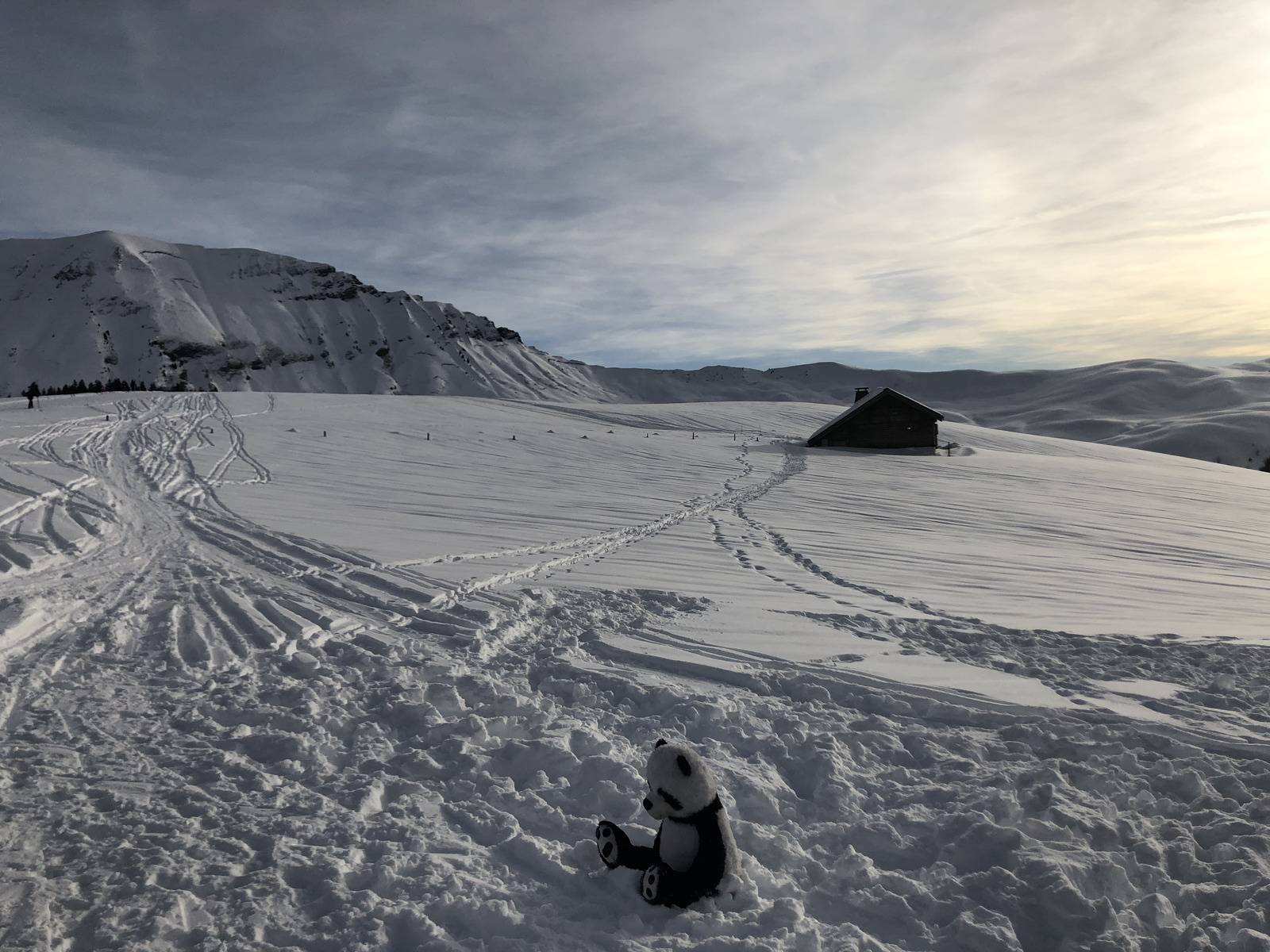 Picture France Praz sur Arly 2019-12 325 - Trip Praz sur Arly